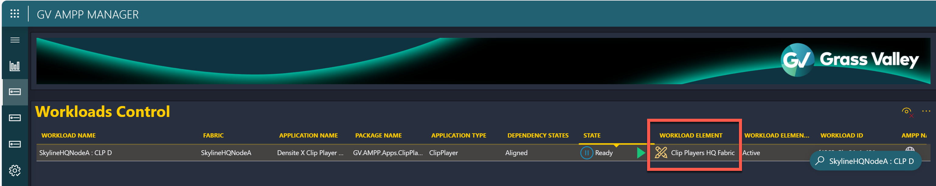 Application element on the Workloads Control page