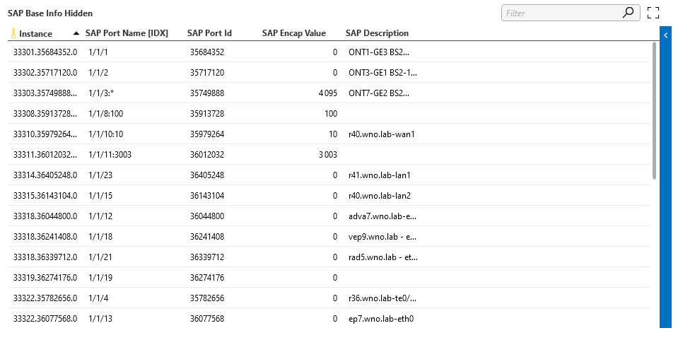 SAP Base Info Hidden table