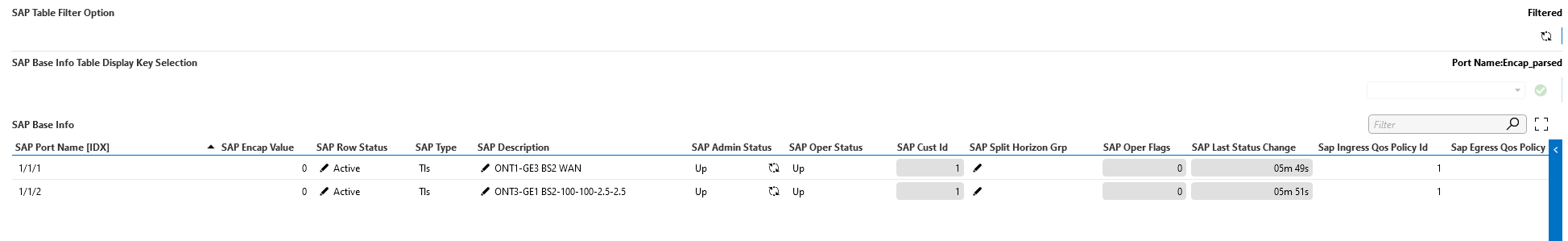 SAP Base Info Table after filtering