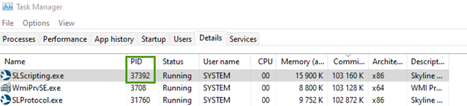 TaskManager Process ID